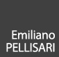 Emiliano Pellisari didascalia
