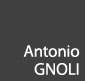 Antonio Gnoli